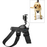 coleira cachorro gopro fetch dog